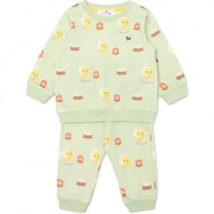 이미지 상세보기 이미지 상세보기