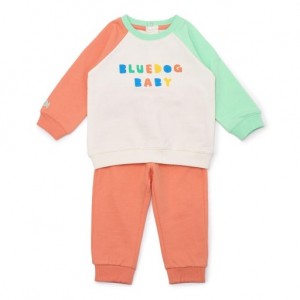 이미지 상세보기 이미지 상세보기