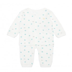 이미지 상세보기